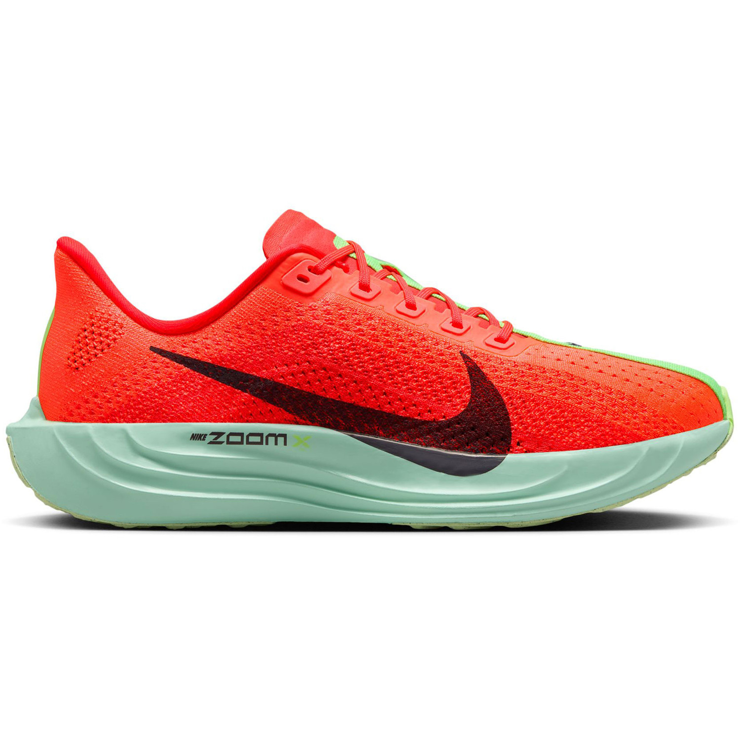 Nike Pegasus Plus Heren