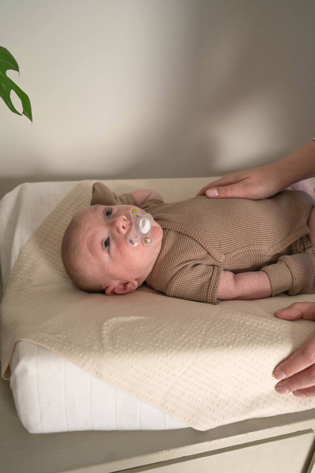 Lodger romper met overslag Ciumbelle bruin