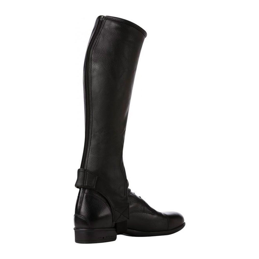 Norton STRETCH GRAINÉ - Mini-chaps noir