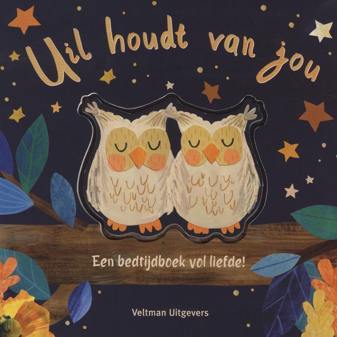 Veltman uitgevers kartonboek uil houdt van jou