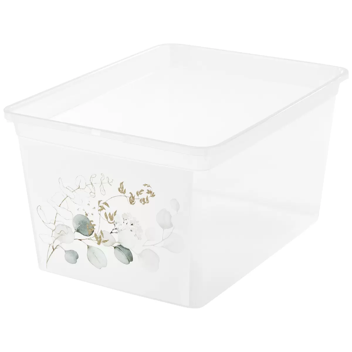 Aufbewahrungsbox Eukalyptus Eukalyptus transparent,weiss