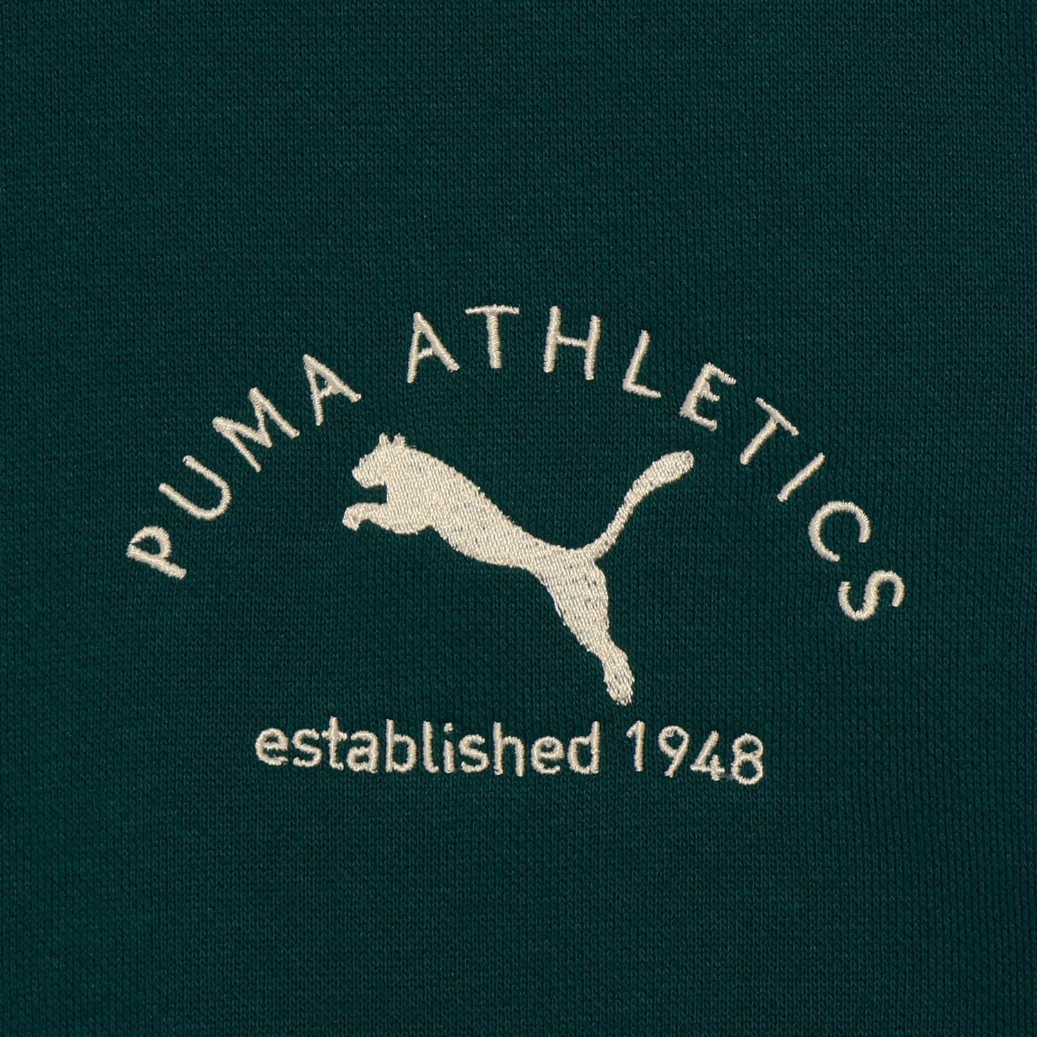 PumaPUMA CLASS Graphic Hoodie FL