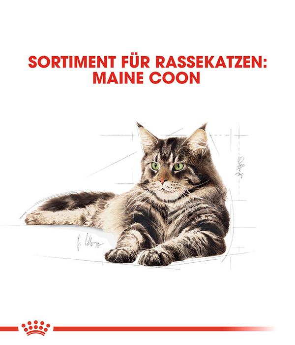 ROYAL CANIN® Trockenfutter für Katzen Maine