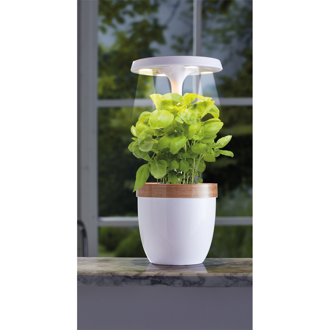Potager d'intérieur LED
