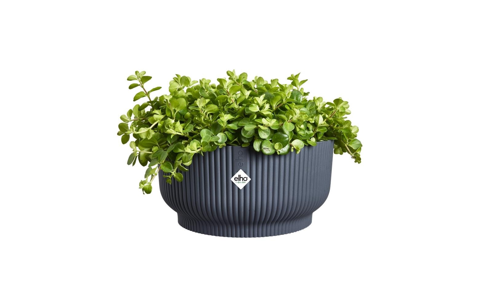Elho Blumentopf »Vibes Fold Bowl 25 cm«