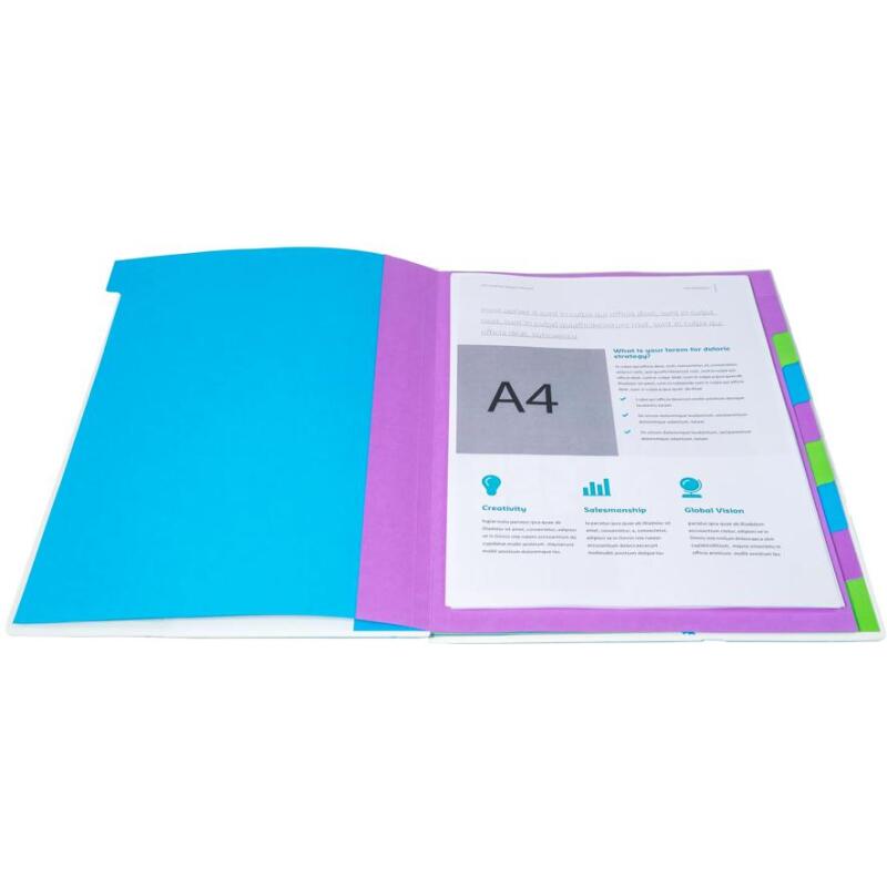 Trieur rigide HARMONIKA® Campus Neon dos extensible 12 compartiments - Bleu