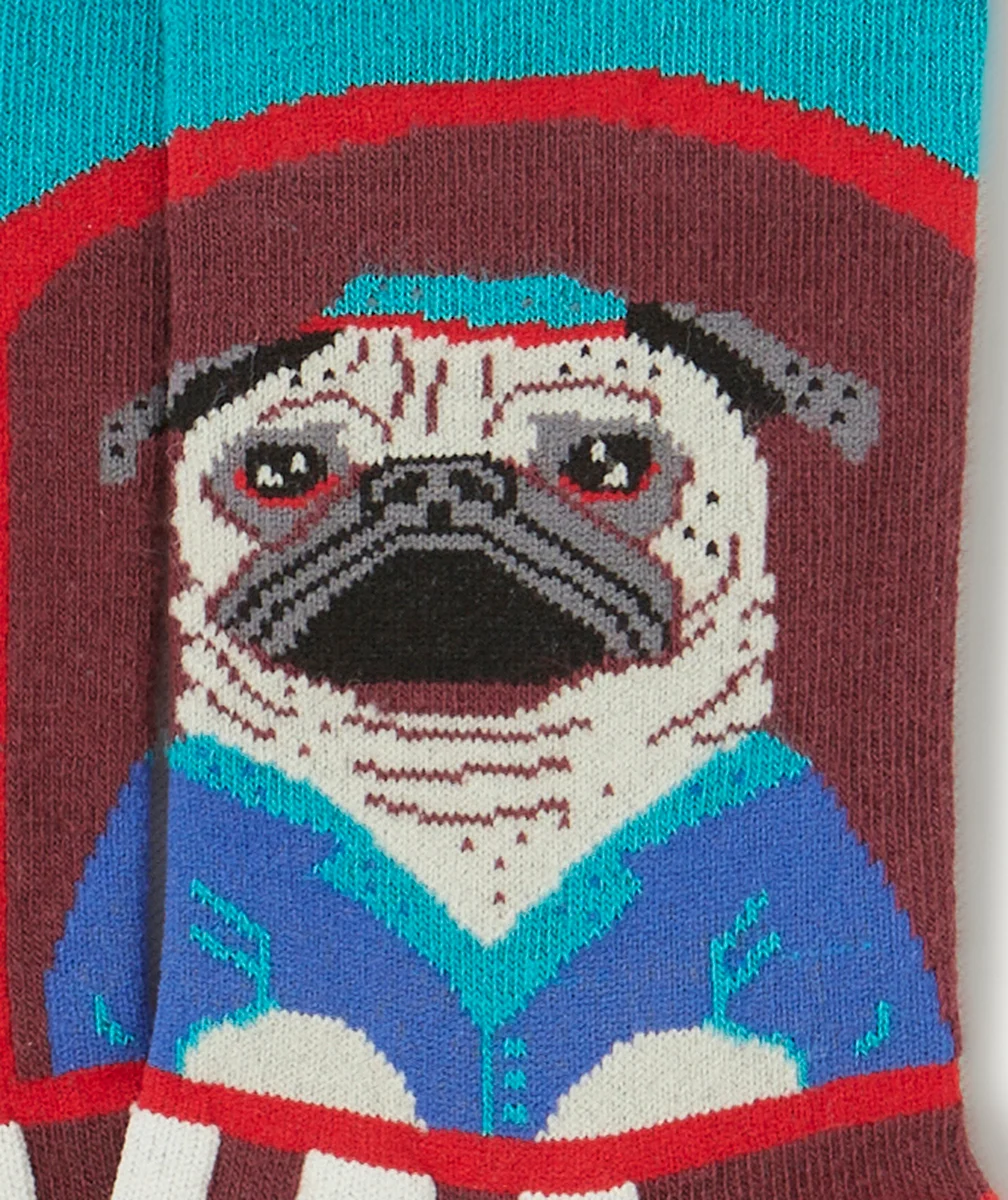 JIMMY LIONPAIRE DE CHAUSSETTES THÈME CHIEN VENDEUR