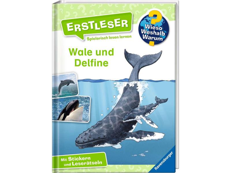 Ravensburger Kinder-Sachbuch WWW Erstleser: Wale und Delfin Spielerisch lesen lernen