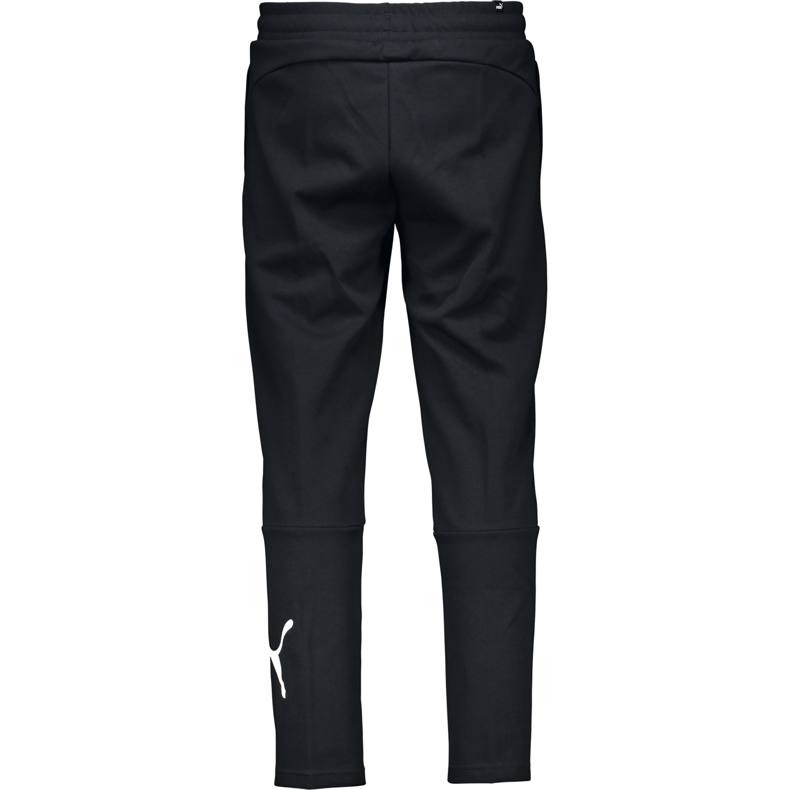 Puma Herren-Trainingshose Power Cat S