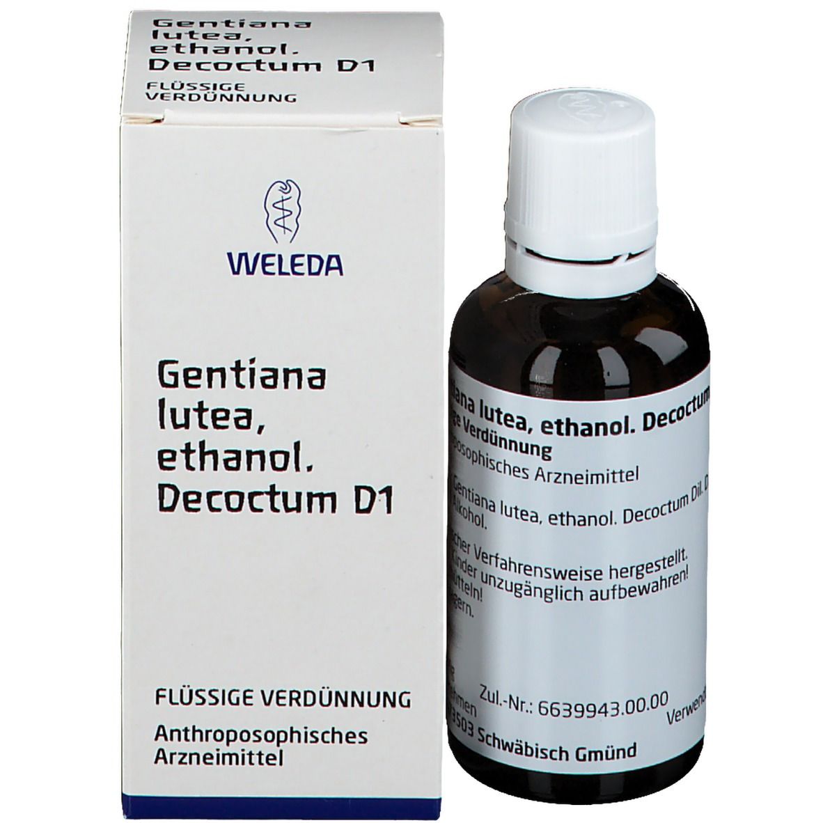 Gentiana Lutea D1