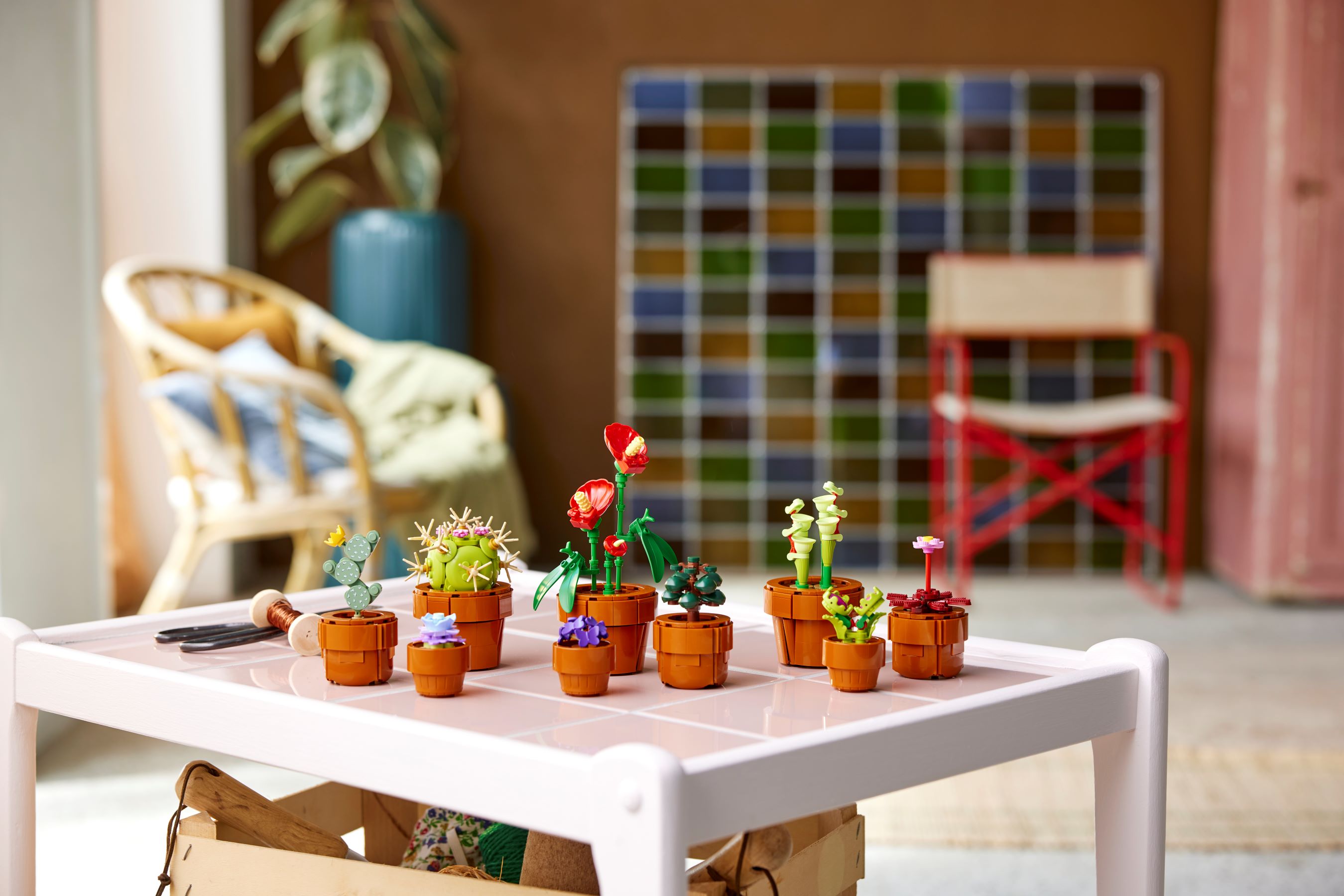 Plantas em miniatura 10329