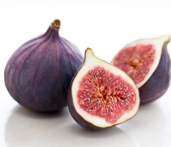 Feige 'Rouge de Bordeaux'