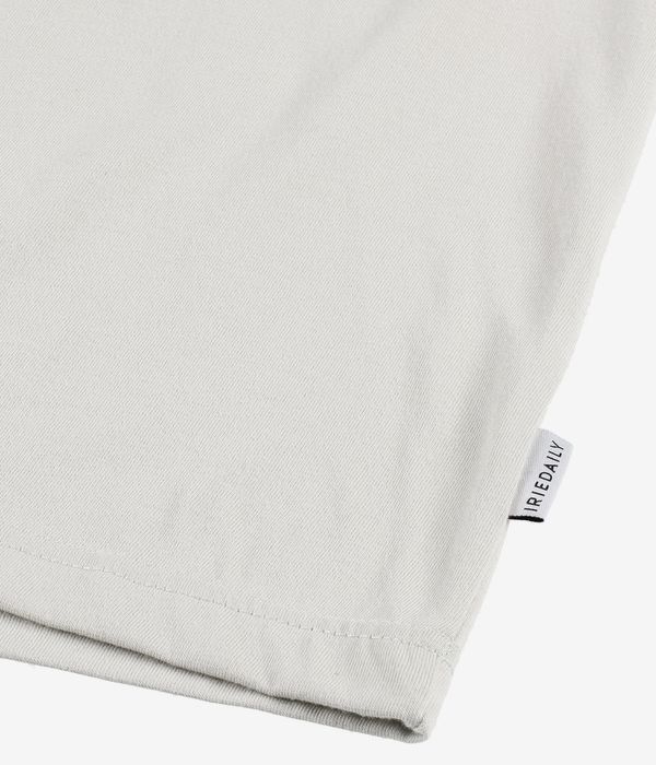Iriedaily Mini Flag Relaxed T-Shirt (light sage)