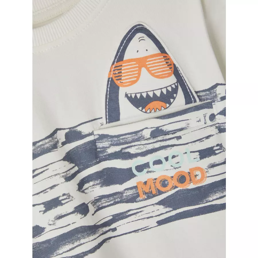 name it T-Shirt Nmmjaman White Alyssum