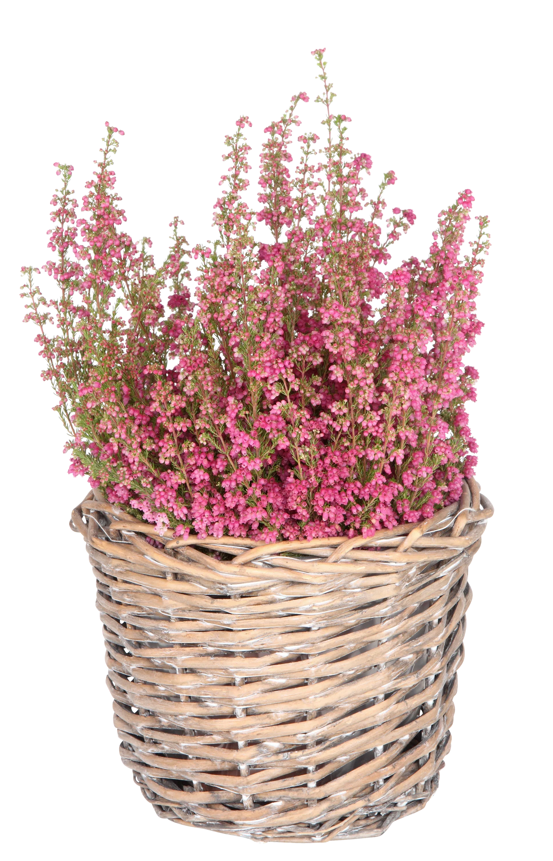Potte Edith Ø28 cm