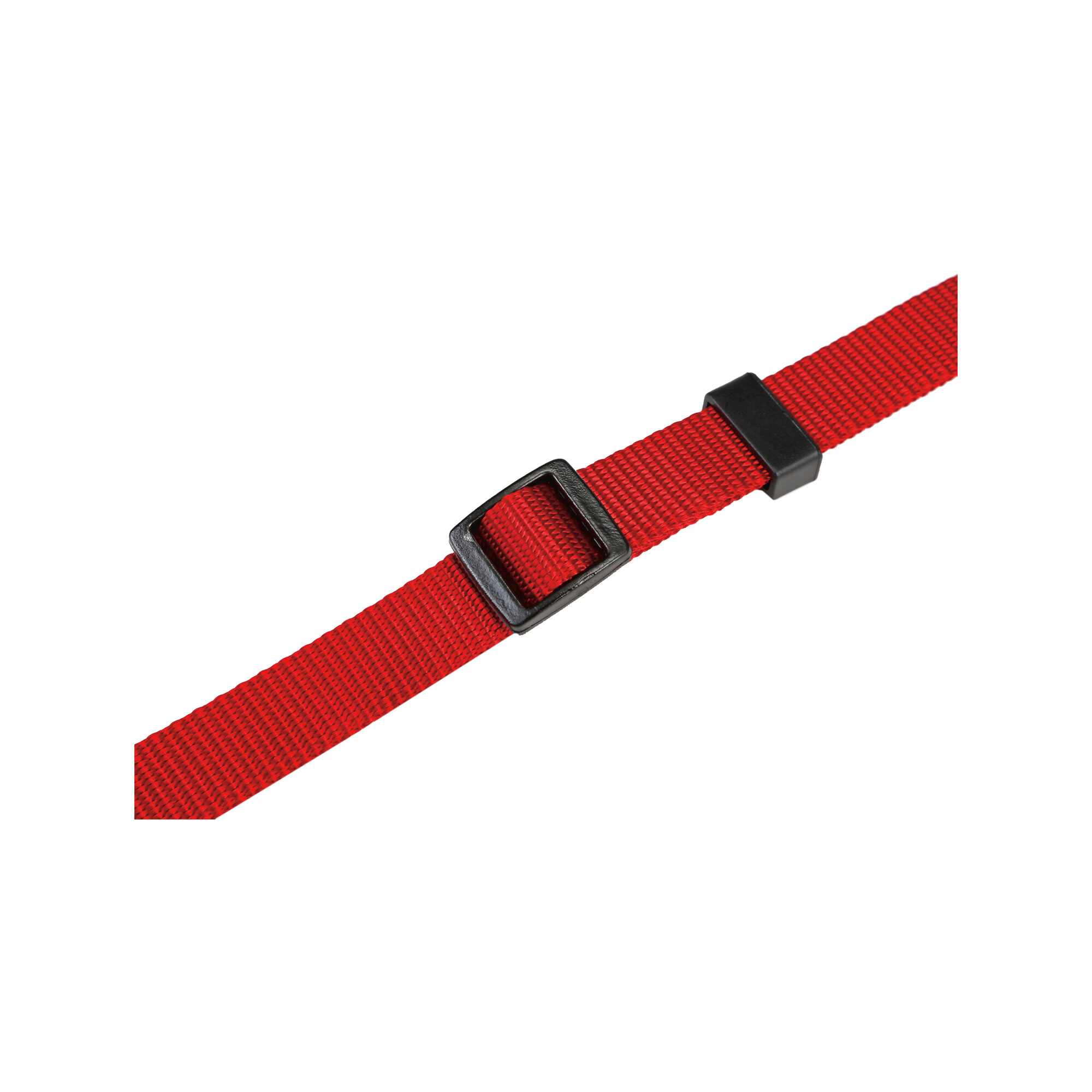 Beeztees Halsband Hond met Kliksluiting
