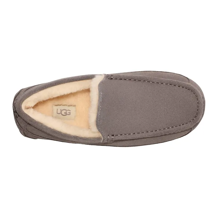 UGG Ascot Pantoffels Heren