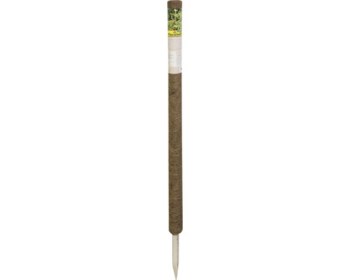 Kokosnoot plantensteker, FloraSelf Nature, H 110 cm, Ø 45 mm, bruin, uitschuifbaar