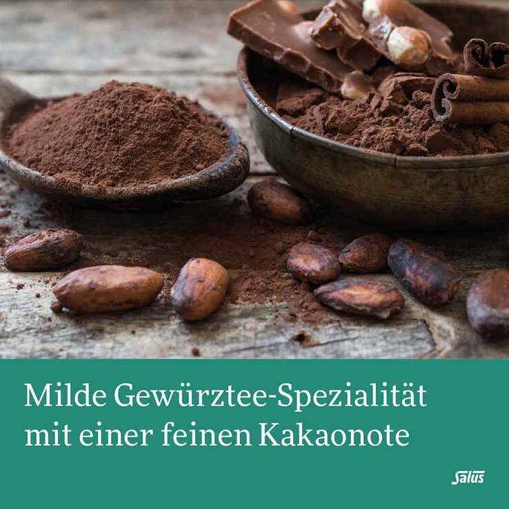 Winter-Trolle Wintertee Gewürztee Bio Salus Fbeutel , 15 St