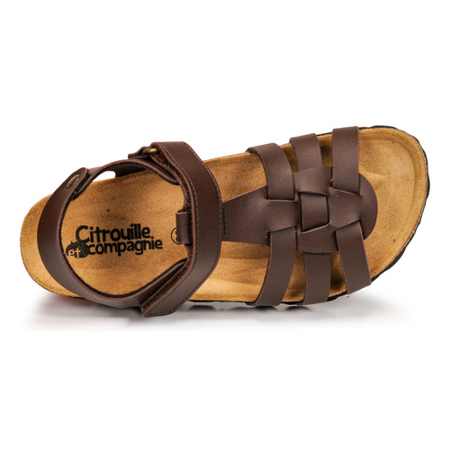 Citrouille et Compagnie - JANISOL - Marron foncé