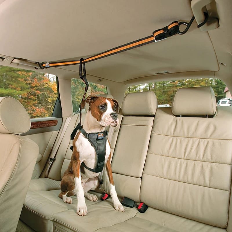 De Kurgo Zip-Line, de beste combinatie van vrijheid en veiligheid voor uw hond achterin de auto.