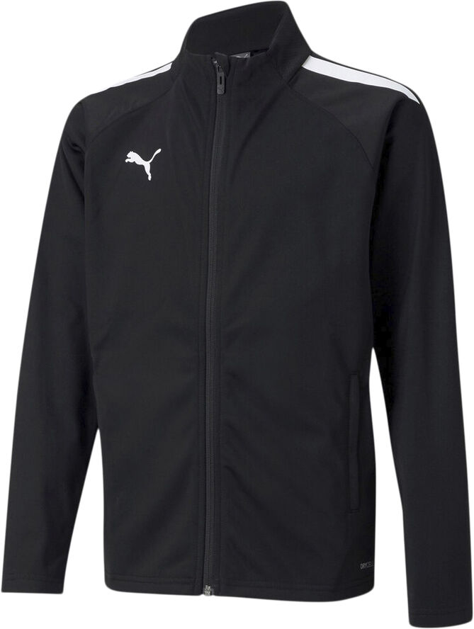 Puma Teamliga Training trøje Sort