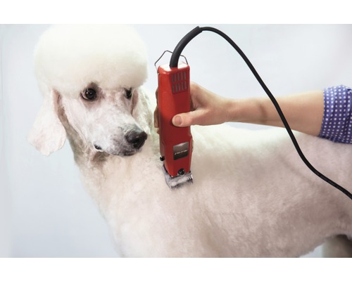 Favorita II tondeuse voor kleine dieren, 230V, inclusief harde koffer