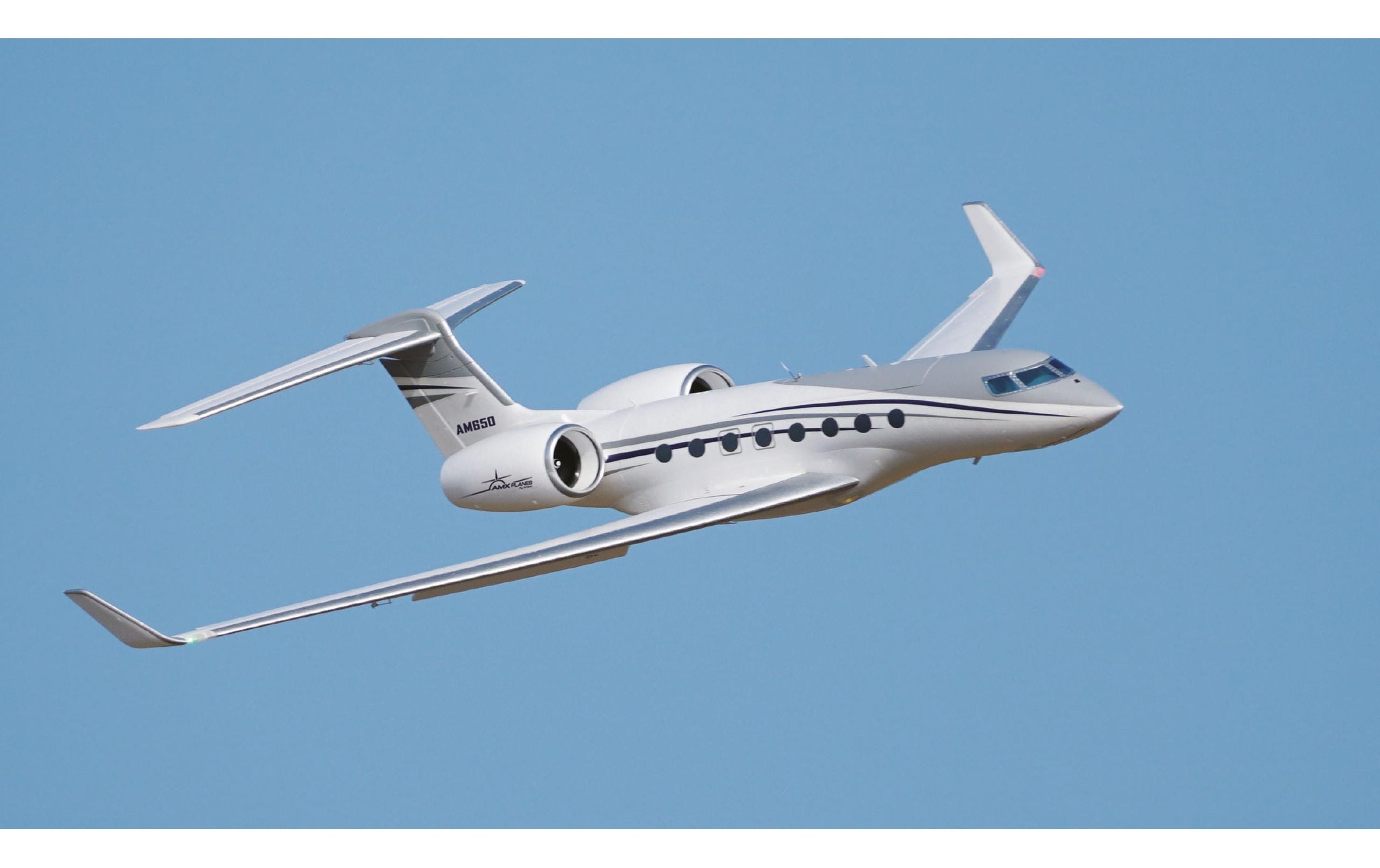 Business Jet AM650 1766 mm PNP<br>Originalgetreuer Passagier Jet mit 2 Impeller
