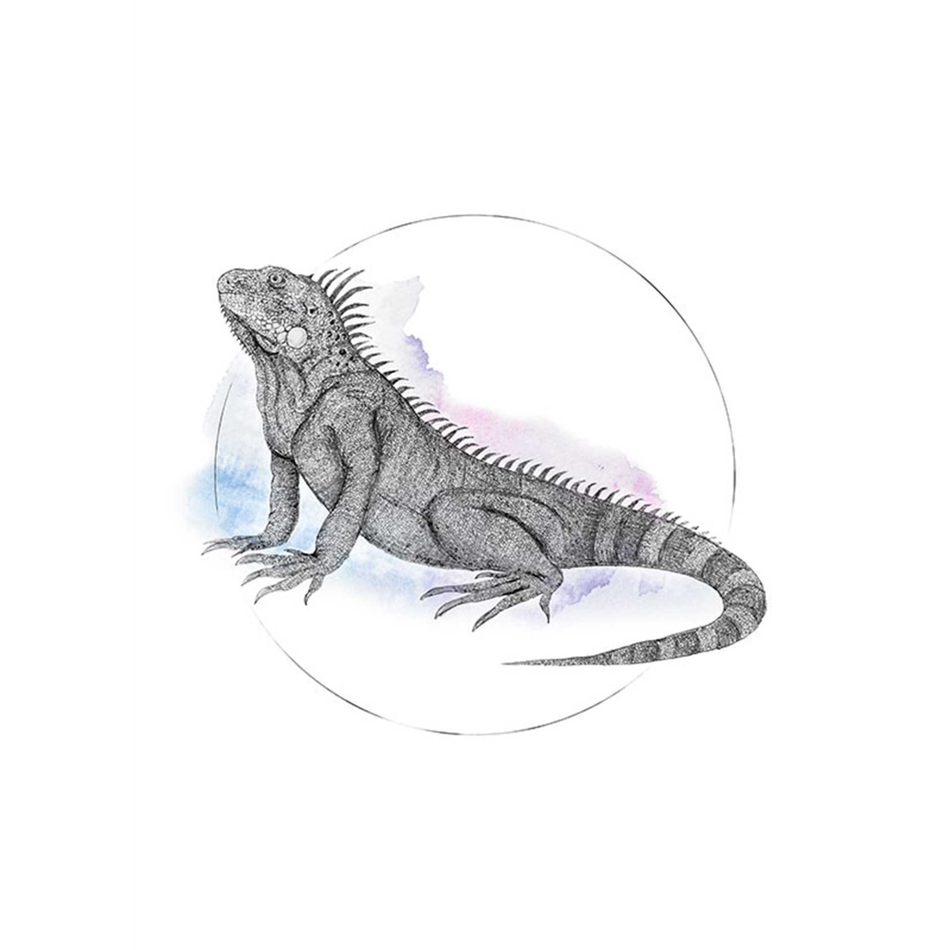 Wandbild IGUANA WATERCOLOR - 50x70 cm