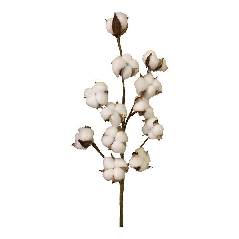 natur, L 60 cm