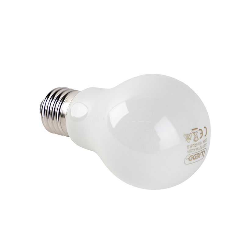 Set van 5 E27 LED lampen opaal glas 1W 80 lm 2200K