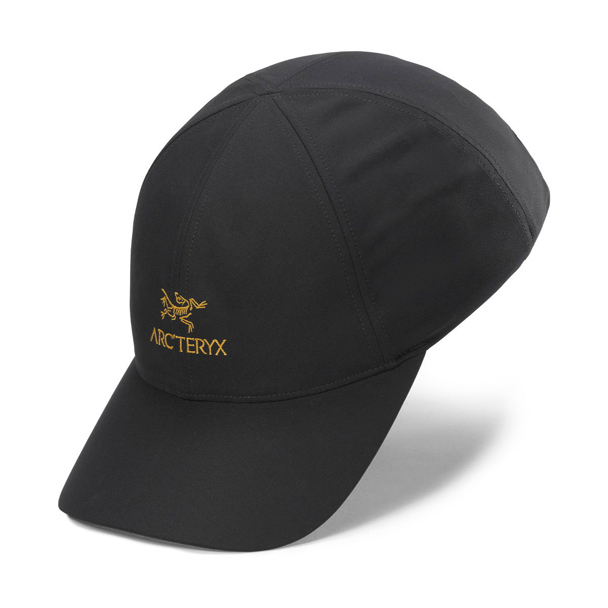 Arc'teryx Bird Word Trucker Curved Hat (Black) - Spejder Sport