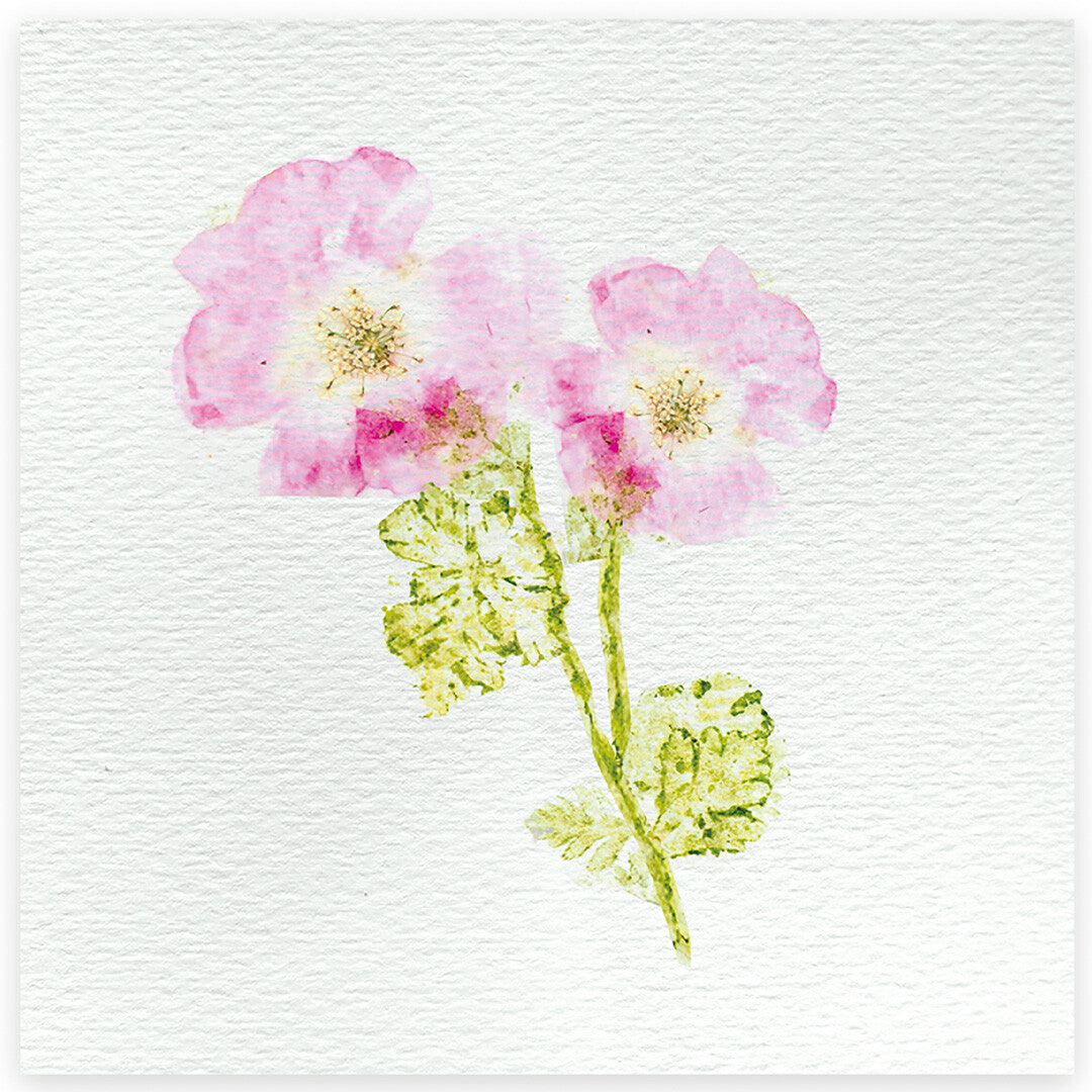 Janod atelier bloemenpers knutselset - 6st