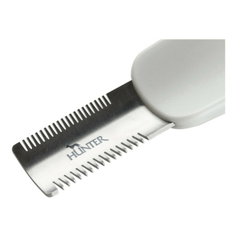 Brosse à détartrer double lame