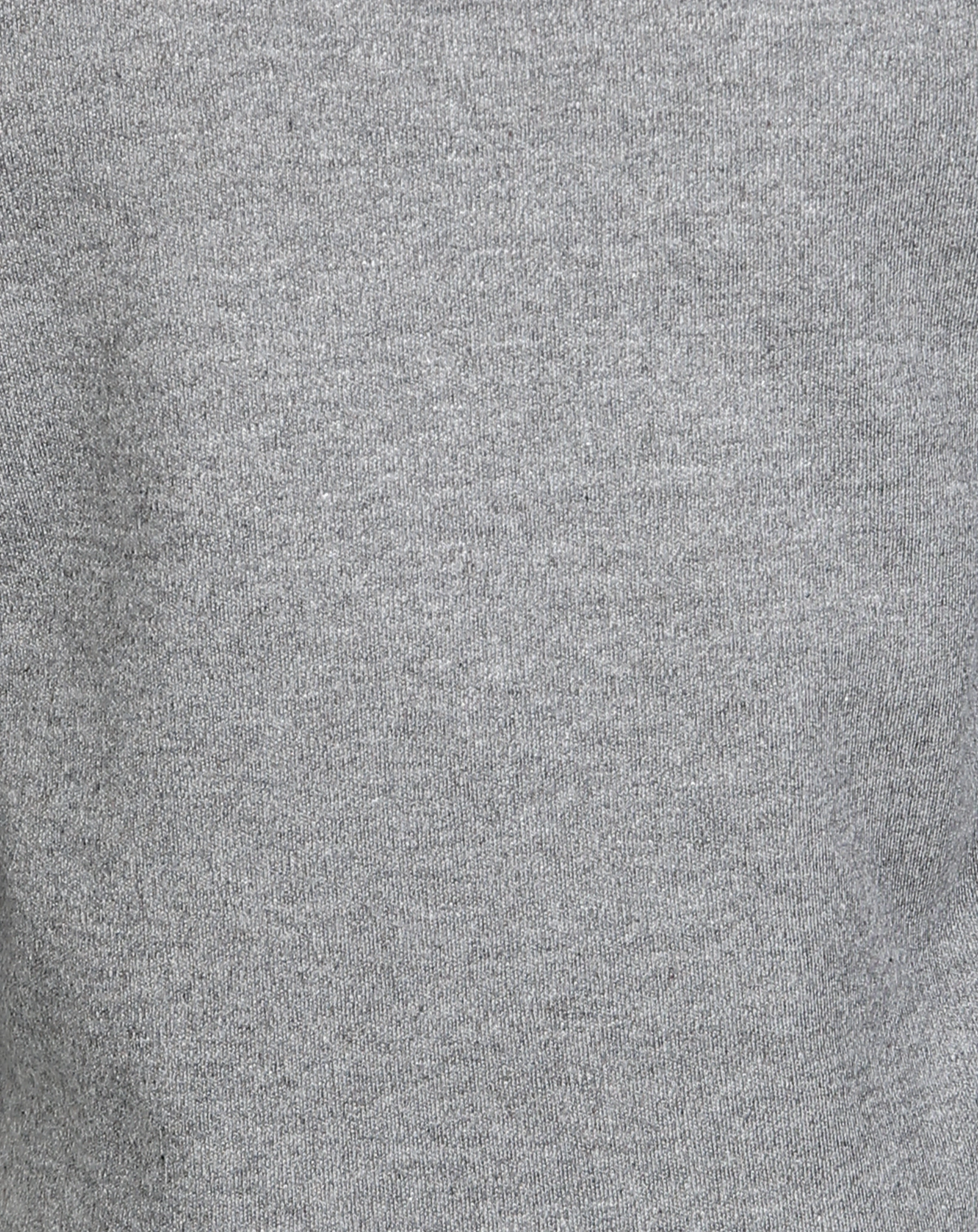 Langarmshirt POLAR BEAR in grau