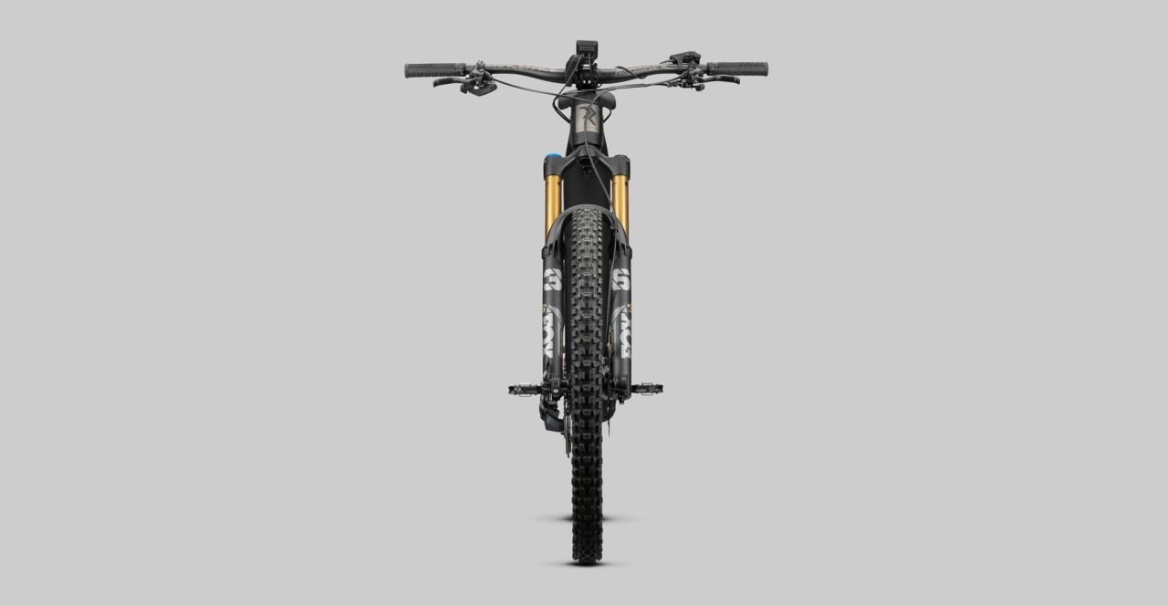 Radon Render 10.0 HD 750 kaufen | Bike-Discount