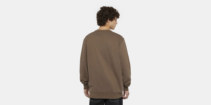 Dickies AITKIN SWEATSHIRT MUSHROOM/CLOUD Mushroom/cloud