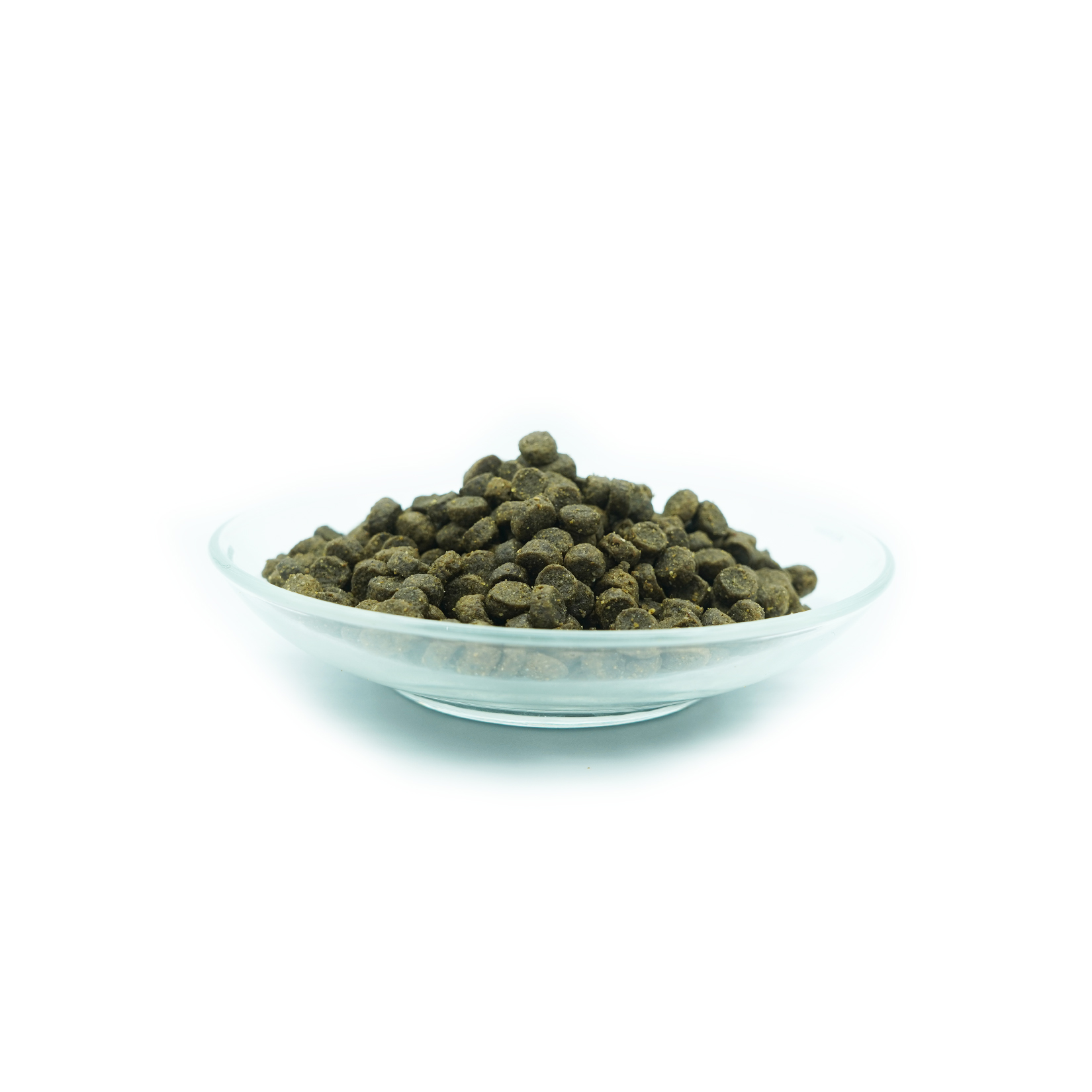 Nourriture sans céréales pour chats au saumon - 1,2 kg