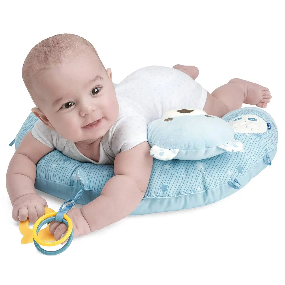 FIRST DREAMS - COUSSIN MON PREMIER NID BLEU