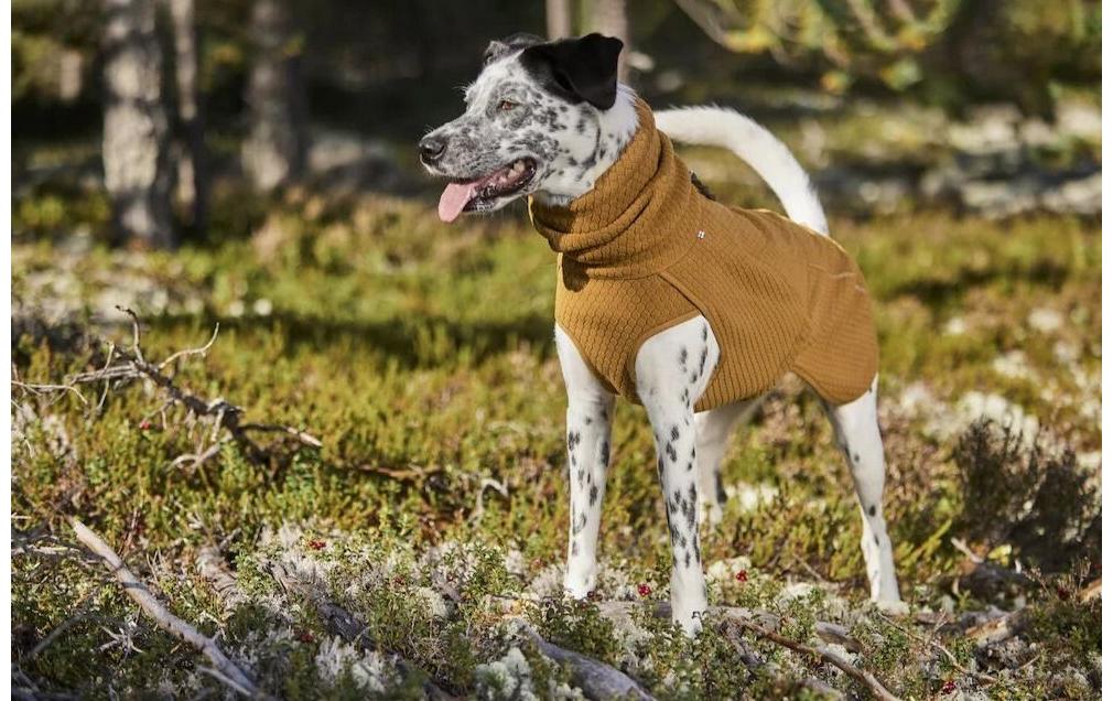 Wintermantel Warming Midlayer ECO, 65, SenfHundejacke mit Wärmereflektoren
