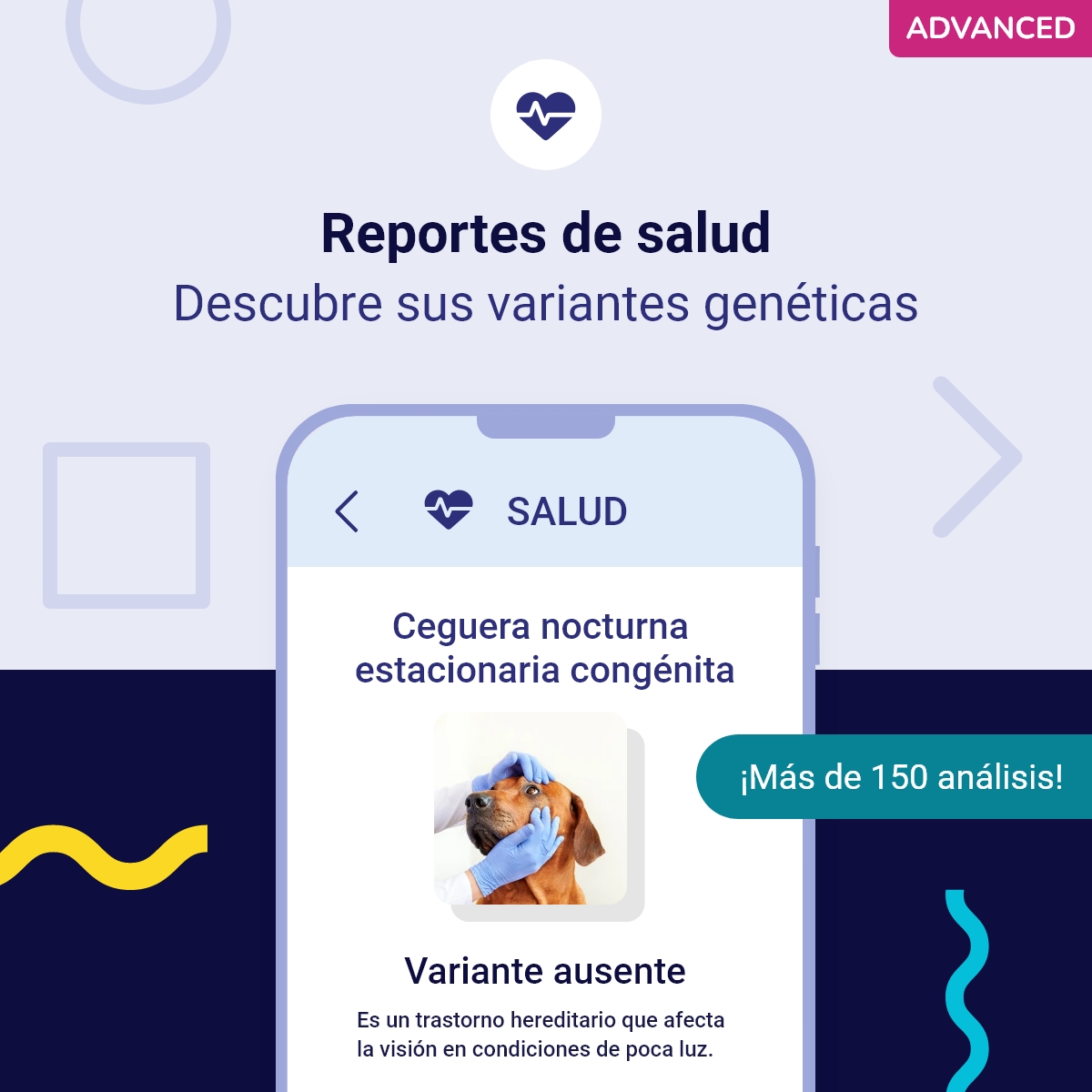 Teste de DNA avançado para cães