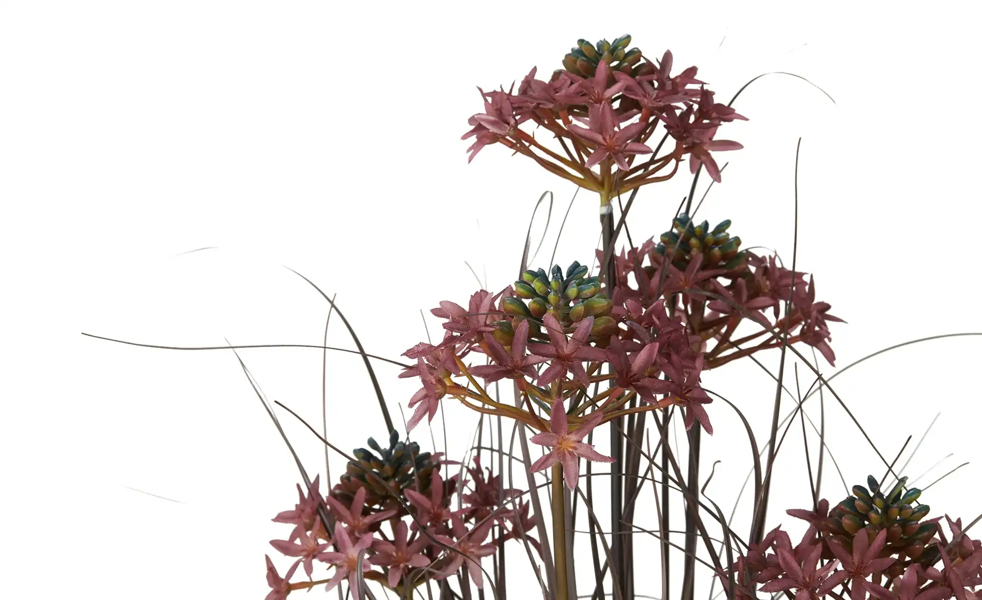 Grasbüschel mit Blüten