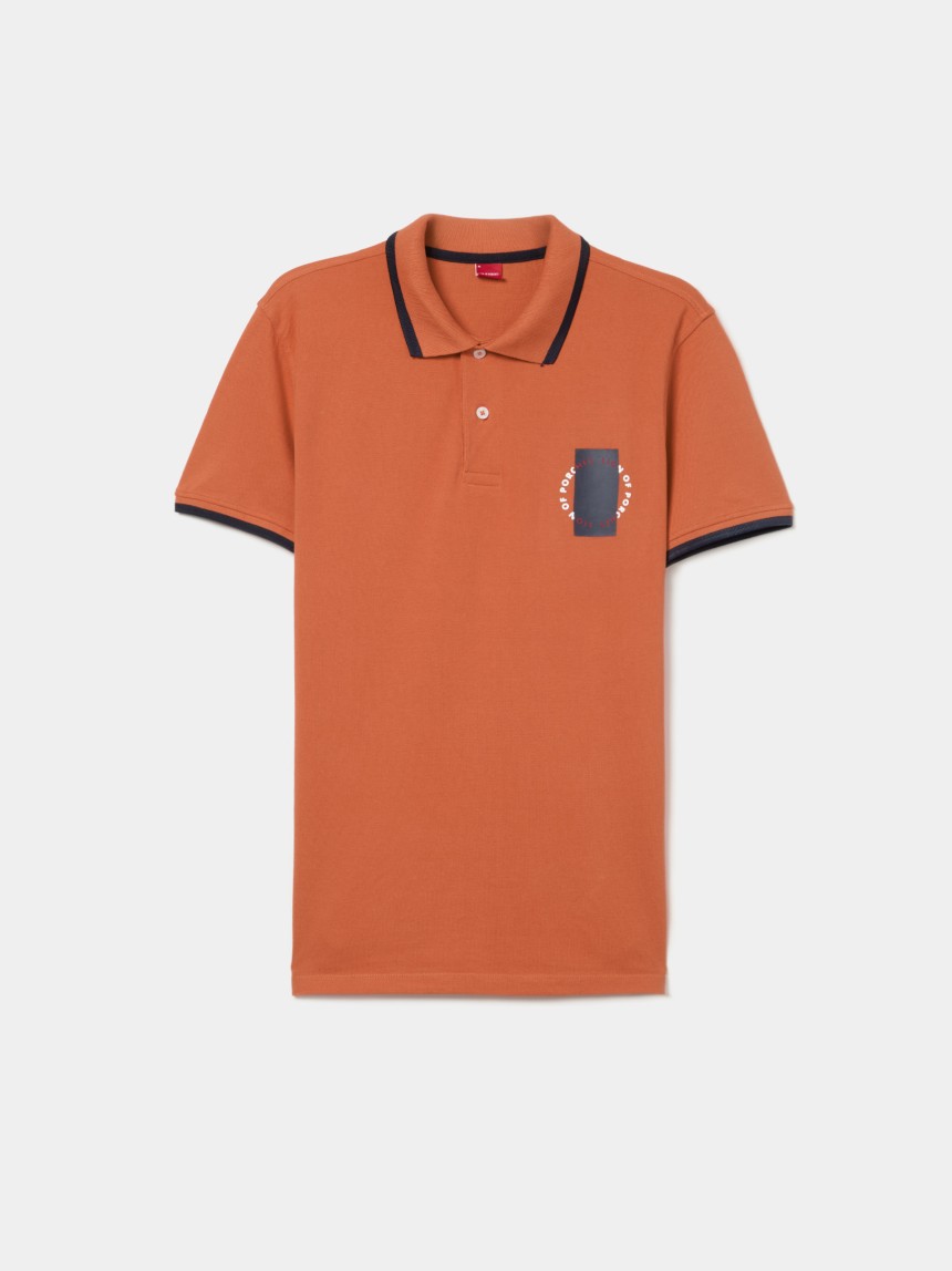 Polo piqué com riscas e estampado