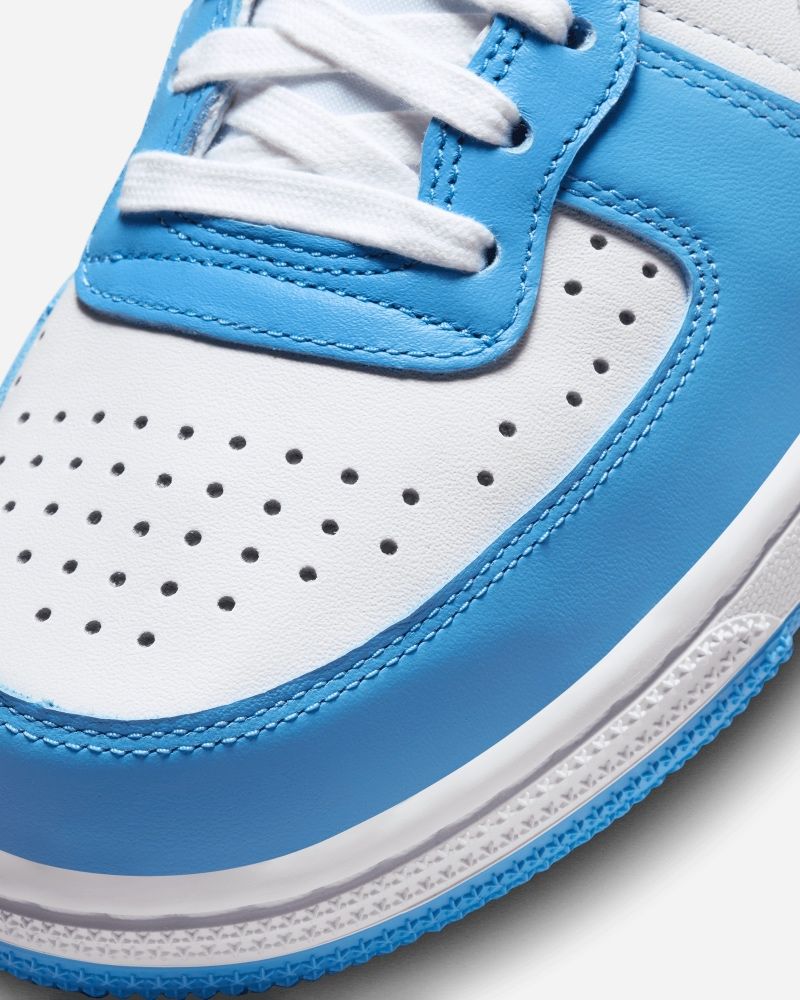 Chaussures Nike Terminator Low Bleu & Blanc pour homme