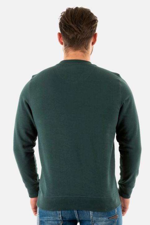 Sweat barbour debson crew gn89 green gables