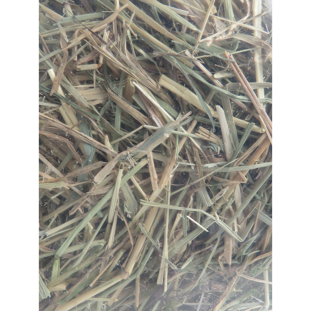 Foin alpage, pomme, betterave, 1 kg, pour rongeur.