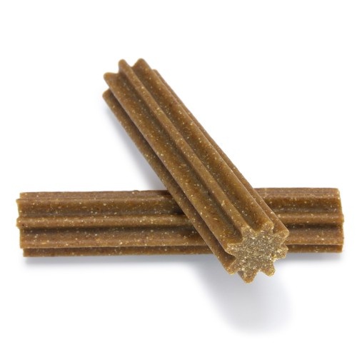 Palito dental para cães