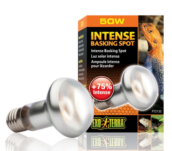 Exo Terra® Intense Basking Spot