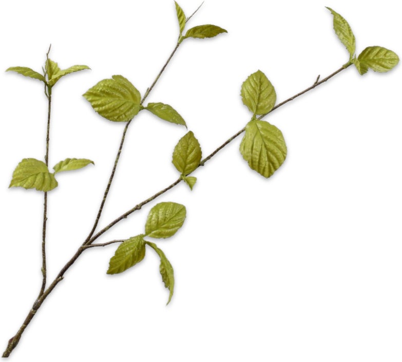 Silk-Ka kunsttak Kornoelje groen 85 cm