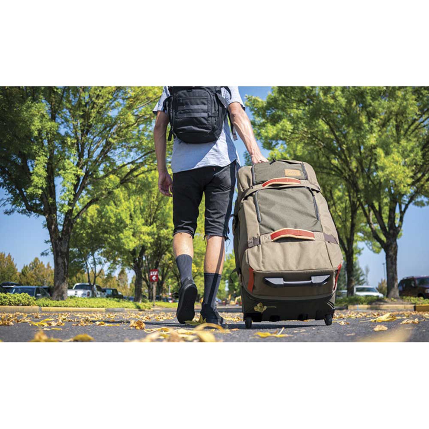 Dakine Split Roller 110L black